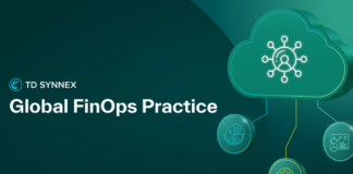 Global FinOps Practice (2)
