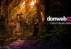 DonWeb Day 2026.